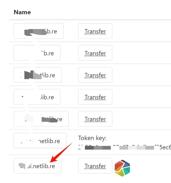 图片[2]-零成本搭建网站：netlib.re 二级域名 + Cloudflare 免费托管指南-极客君