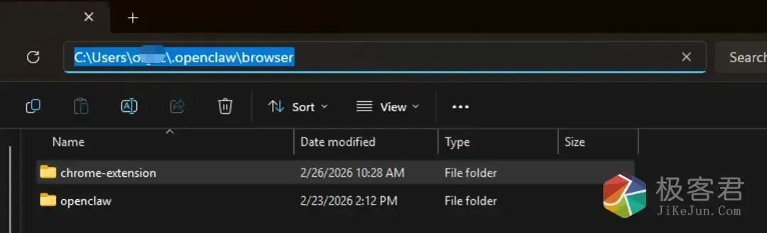 图片[3]-盘点 openclaw 控制浏览器的自动化的方案-极客君